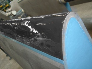 经涂覆的水闸门且有附加的对导向边的气蚀防护 经涂覆的水闸门且有附加的对导向边的气蚀防护